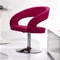 착색된 살롱 현대 고전적인 사무실 의자 스테인리스 알루미늄 합금 기초 협력 업체