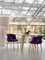 넨도 상한 호텔 가구에 의하여 현대 나무로 되는 디자인 카펠리니 나무못 의자 협력 업체